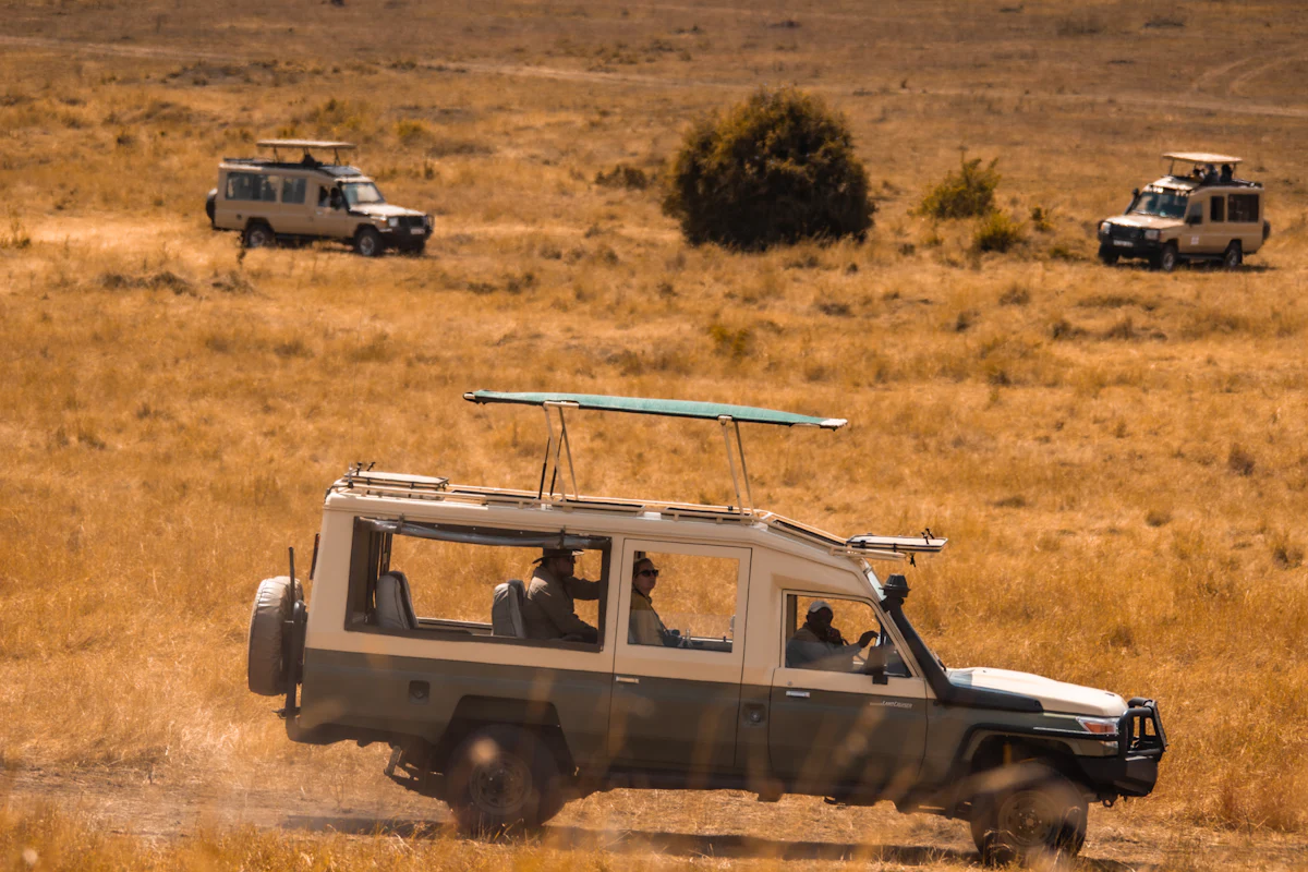 A safari Land Cruiser with its roof raised driving across dry grassland in the Serengeti